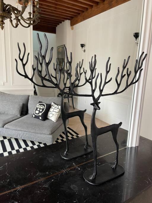 Le Grand Cerf By La Chambre A Cote 메스 외부 사진